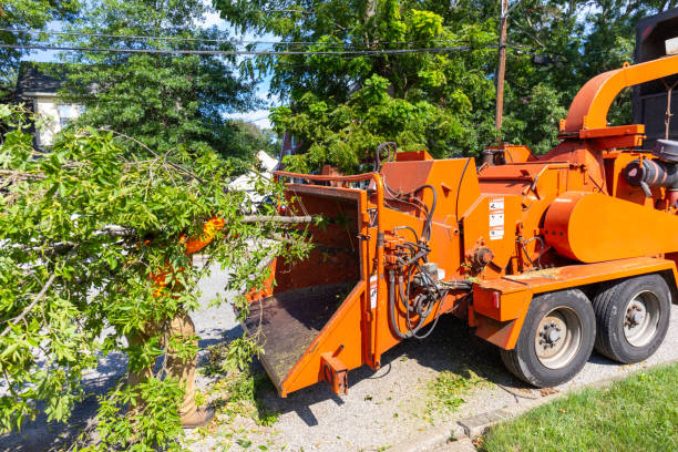 Tree Service Company in Thornwood, NY